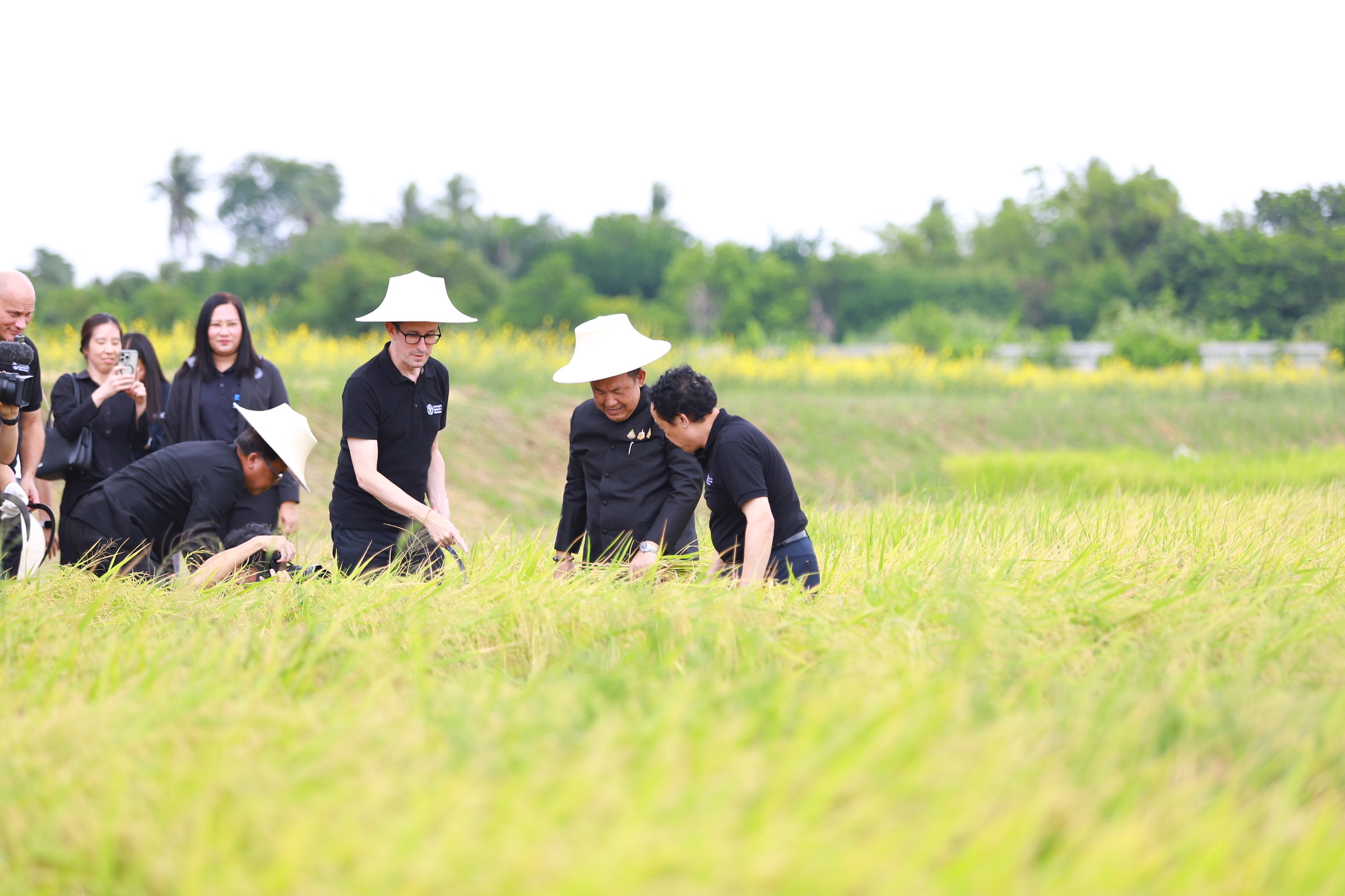 title - ส.ป.ก. เปิดศูนย์ส่งเสริมและพัฒนาอาชีพเสริมนอกภาคเกษตร ต้อนรับผู้อำนวยการใหญ่ FAO แสดงผลงานด้านศิลปวัฒนธรรม